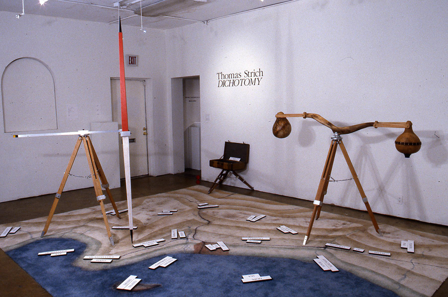 Dichotomy, an installation by Thomas Strich