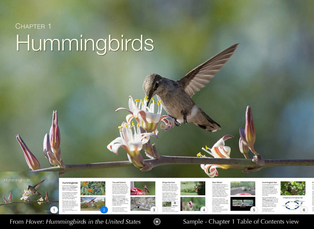 Chapter 1 Hummingbirds shows a close up of a female hummingbird hovering to feed from a pink and white flower. Thumbnail images of the following pages are visible at the bottom of the image.